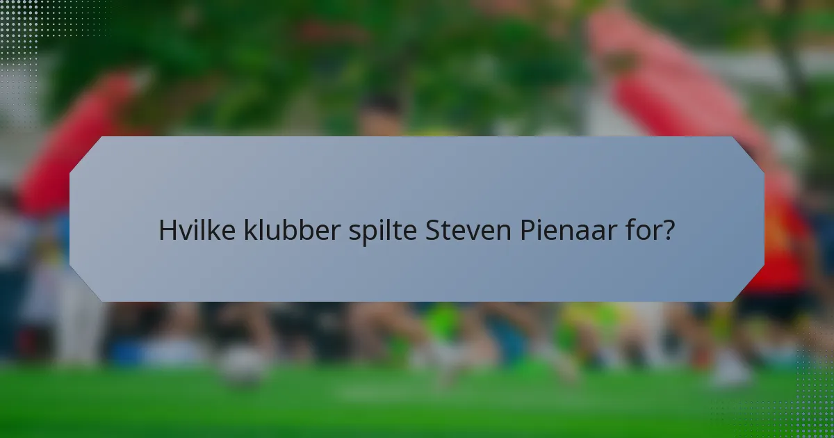 Hvilke klubber spilte Steven Pienaar for?