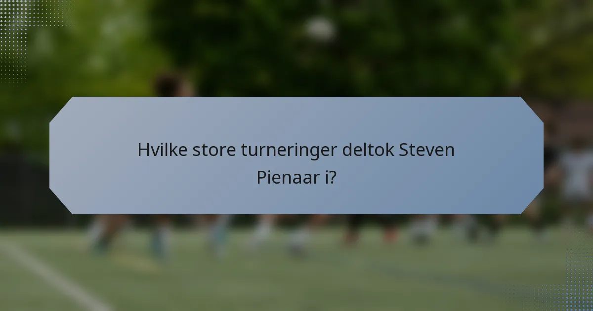Hvilke store turneringer deltok Steven Pienaar i?