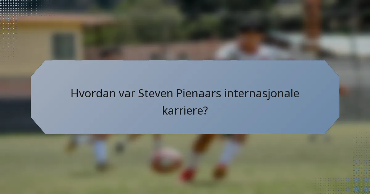 Hvordan var Steven Pienaars internasjonale karriere?